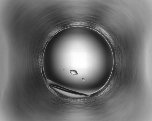 X0000094331049200711021406