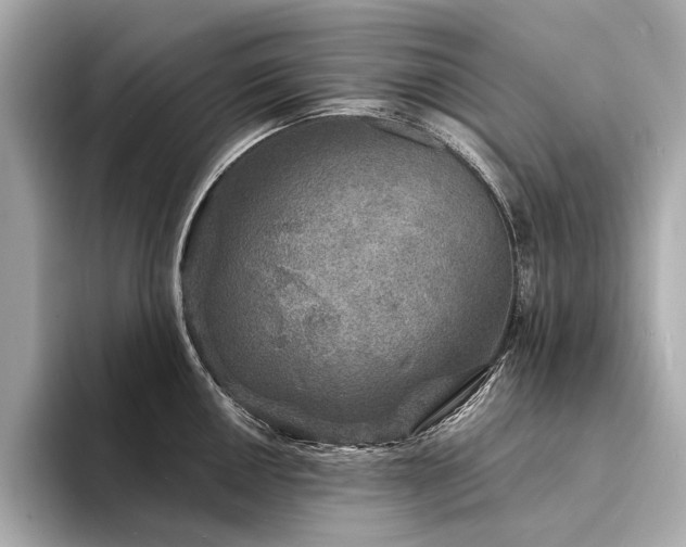 X0000094331050200711021406