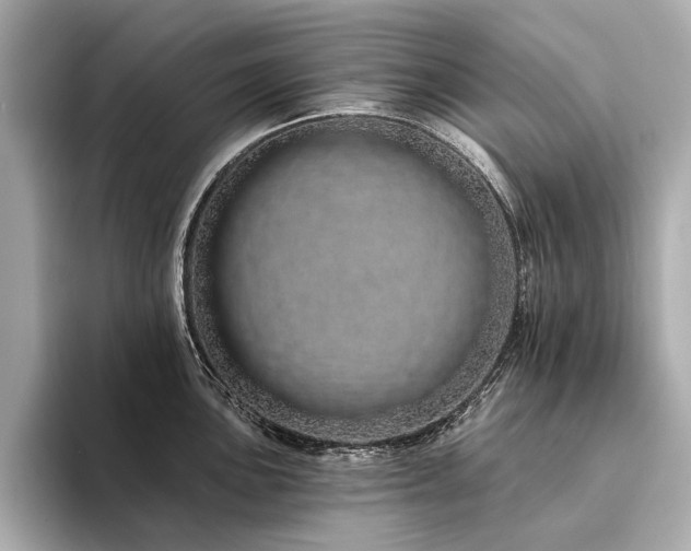 X0000094331051200711021406