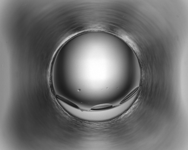 X0000094331052200711021406