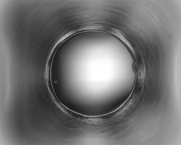 X0000094331053200711021406