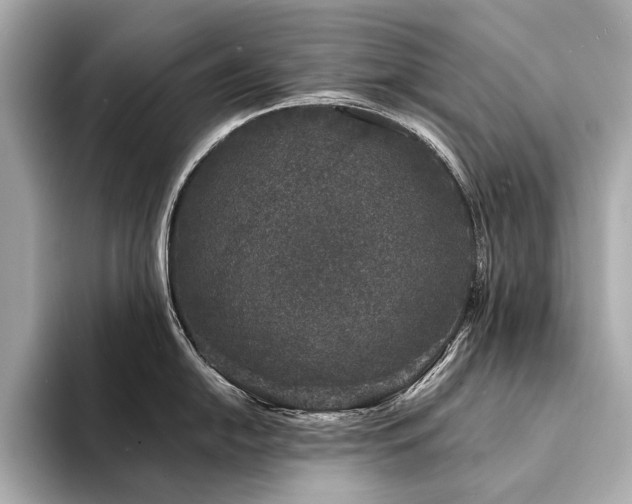 X0000094331054200711021406