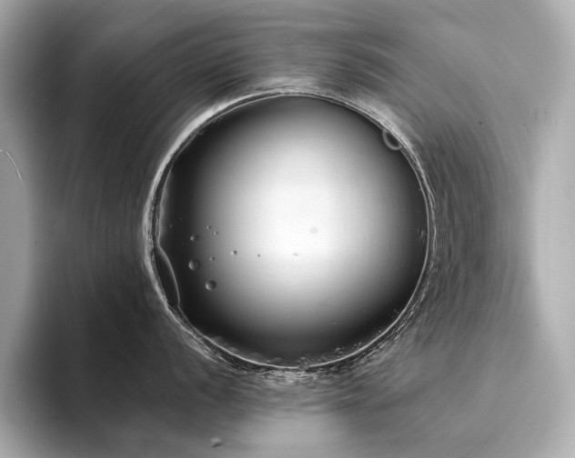 X0000094331056200711021406