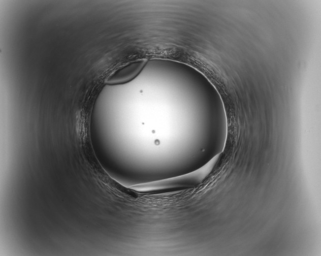 X0000094331058200711021406