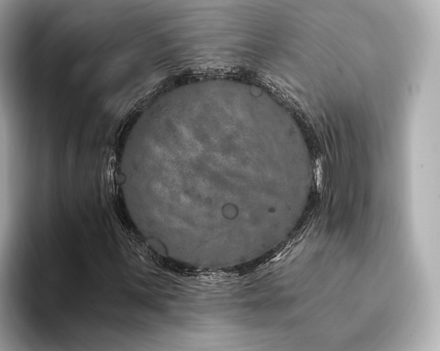 X0000094331059200711021406