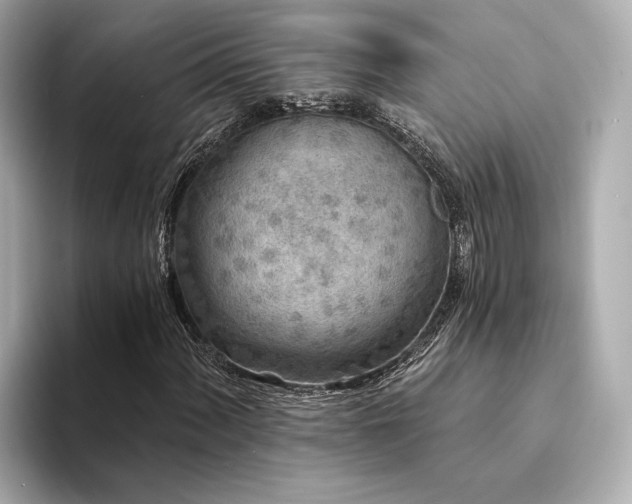 X0000094331060200711021406