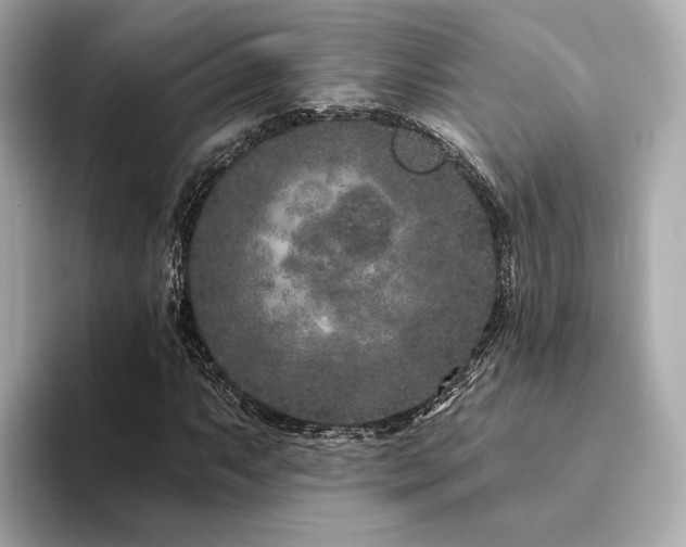 X0000094331063200711021406