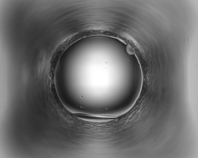 X0000094331064200711021405