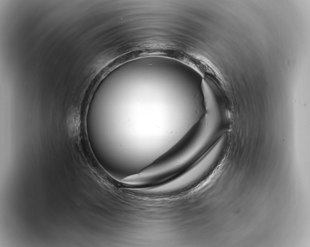 X0000094331065200711021405