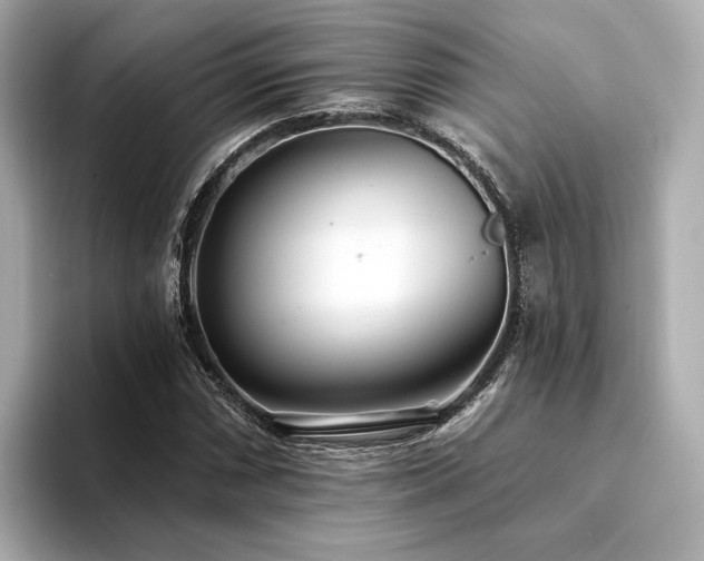 X0000094331066200711021405