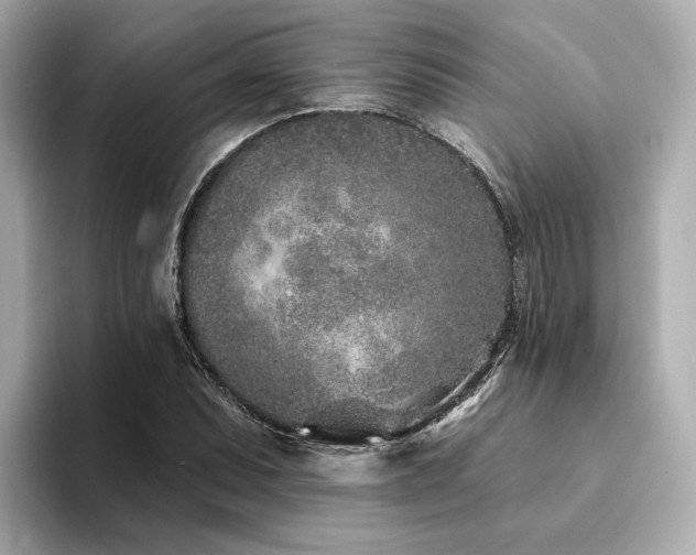 X0000094331071200711021405