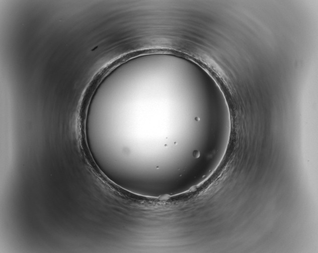 X0000094331072200711021405