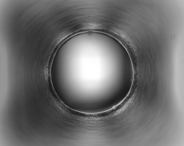 X0000094331073200711021405