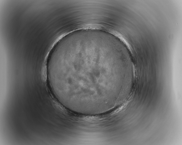 X0000094331075200711021405