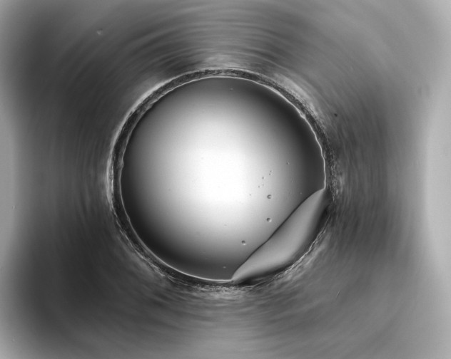 X0000094331076200711021405