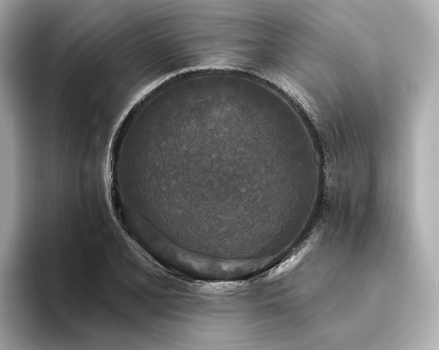 X0000094331077200711021405