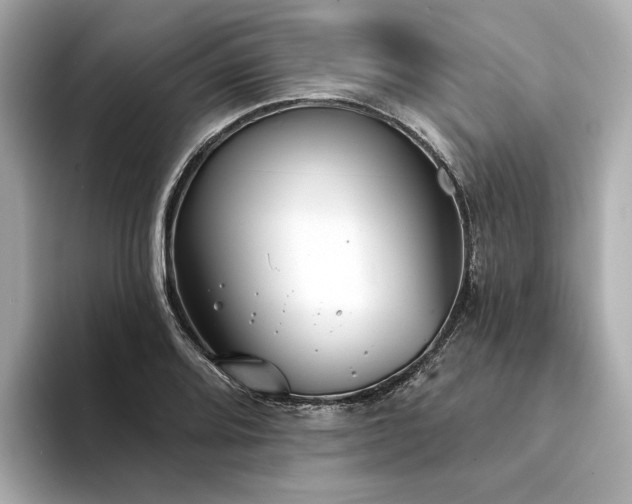 X0000094331080200711021405