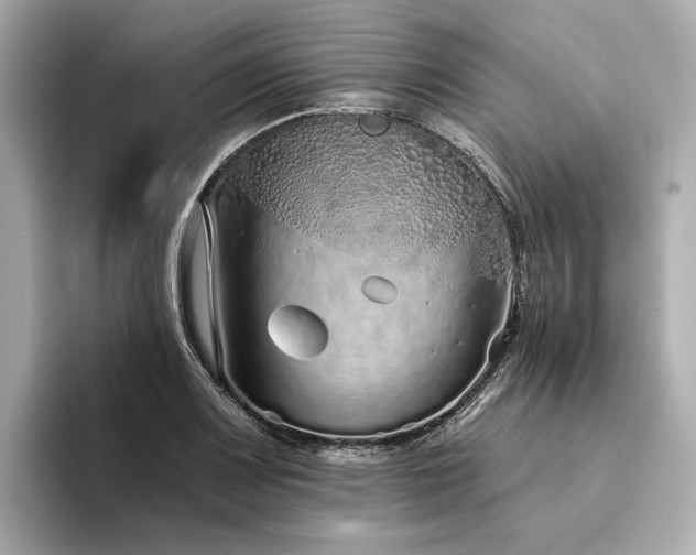 X0000094331083200711021405