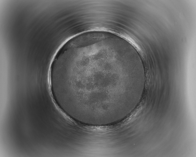 X0000094331084200711021405