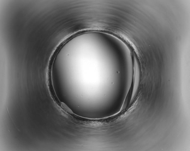 X0000094331085200711021405