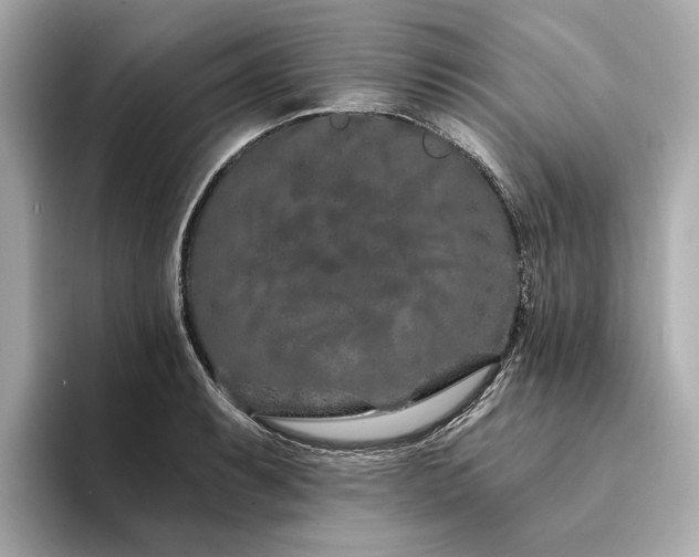 X0000094331087200711021405