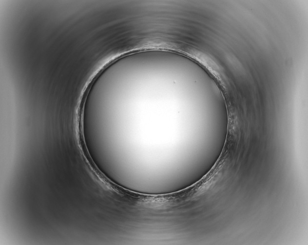 X0000094331094200711021405