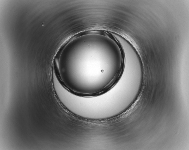 X0000094331097200711021405