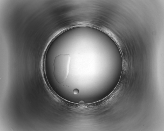 X0000094331098200711021405