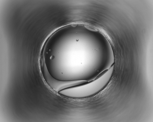 X0000094331100200711021405