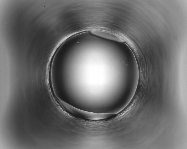 X0000094331102200711021405