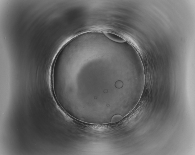 X0000094331103200711021405