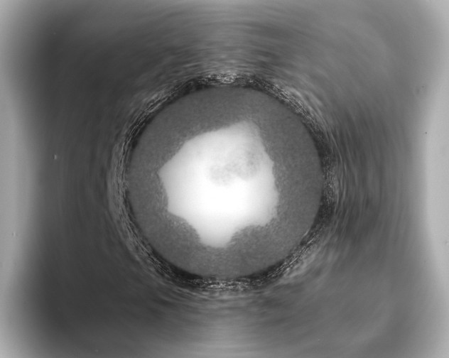 X0000094331105200711021404