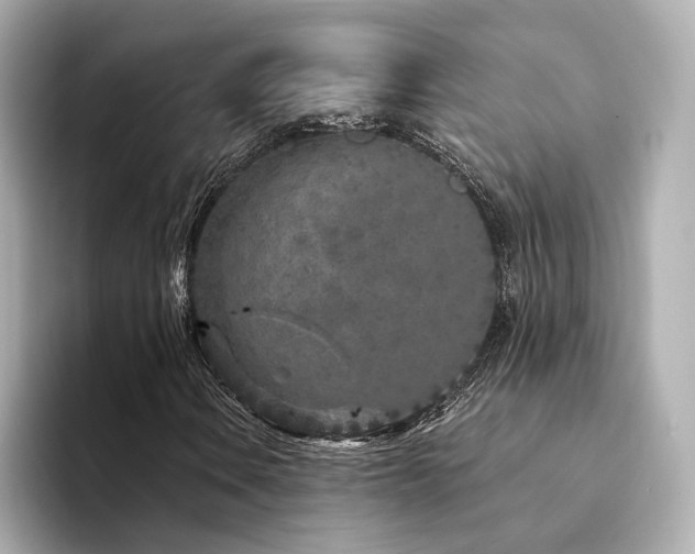 X0000094331106200711021404