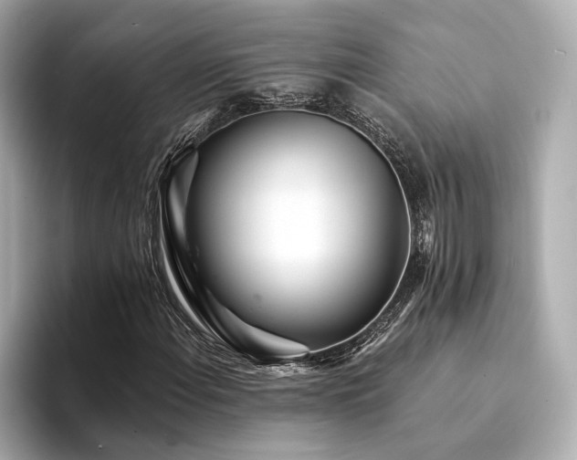 X0000094331108200711021404