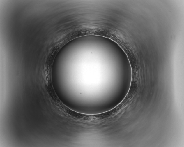 X0000094331109200711021405