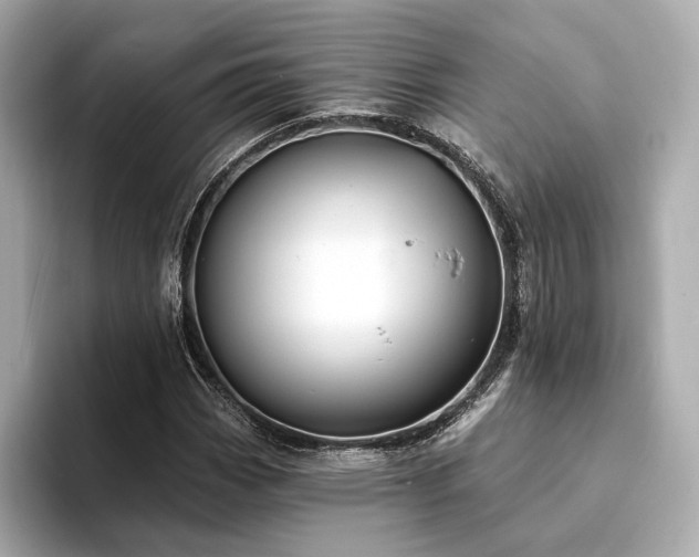 X0000094331113200711021405
