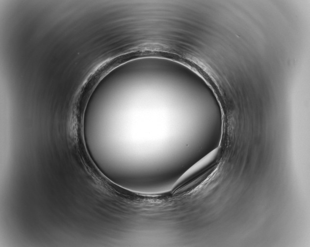 X0000094331115200711021405