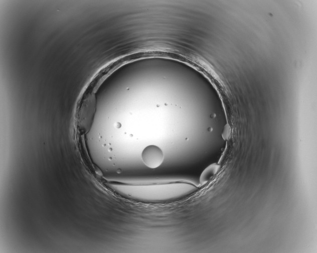 X0000094331116200711021405