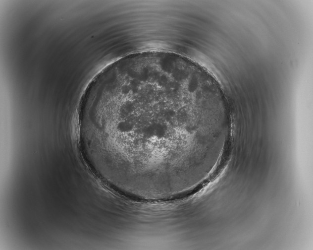 X0000094331117200711021405