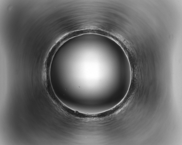 X0000094331118200711021405