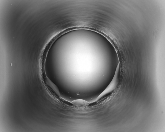 X0000094331120200711021405