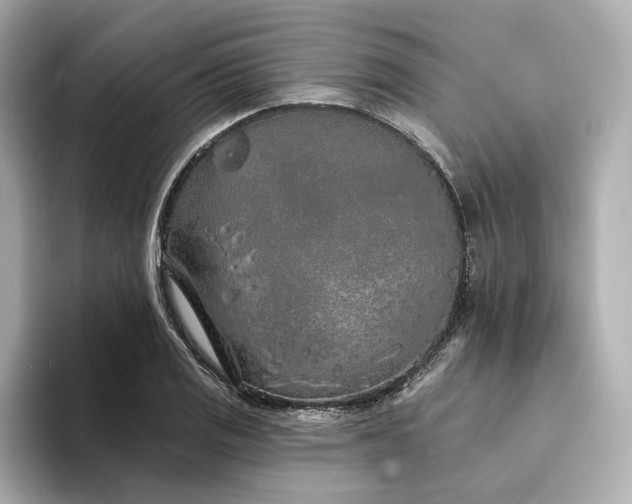 X0000094331125200711021405