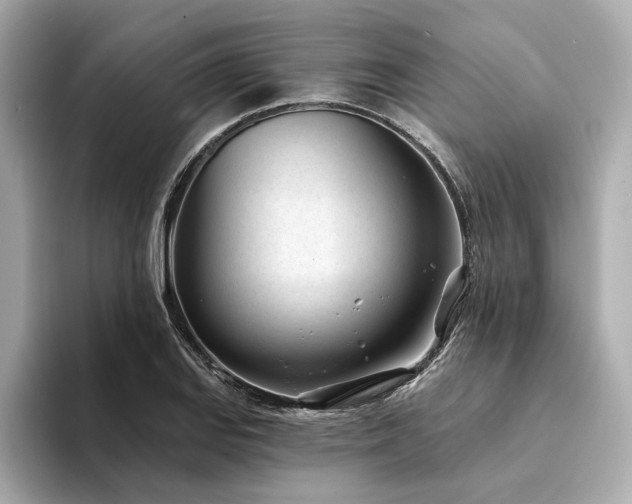 X0000094331127200711021405