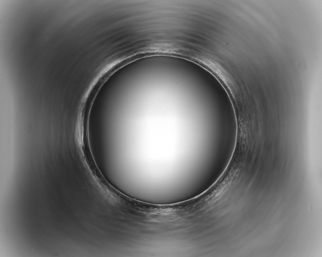 X0000094331131200711021405