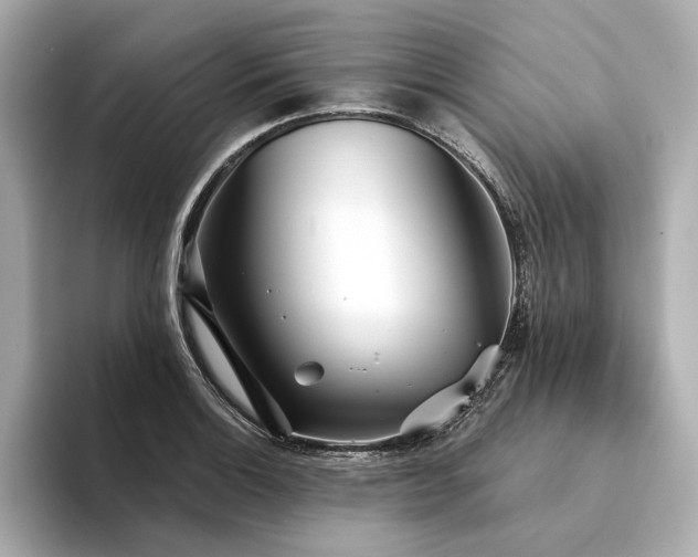X0000094331132200711021405
