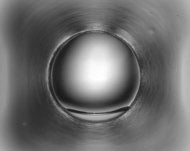 X0000094331135200711021405