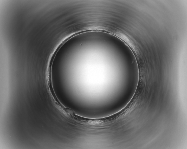 X0000094331140200711021405