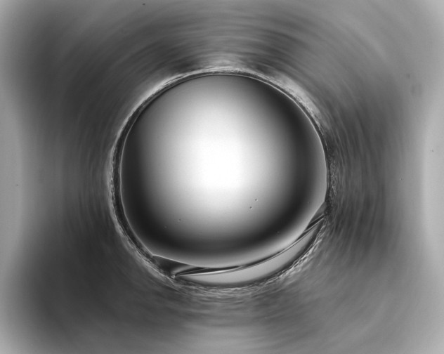 X0000094331142200711021405
