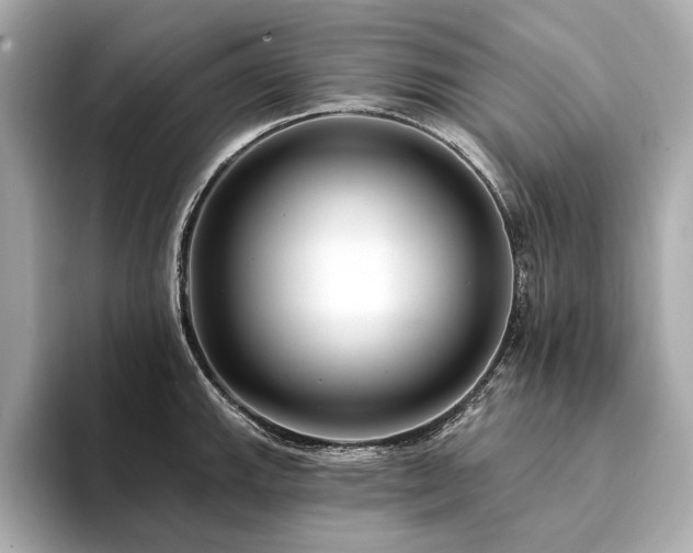 X0000094331143200711021405
