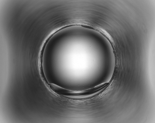 X0000094331144200711021405